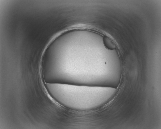 X0000083651421200702120824