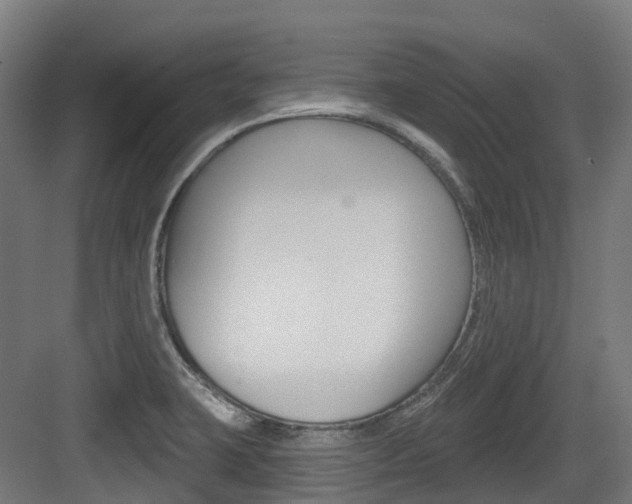 X0000083651423200702120824