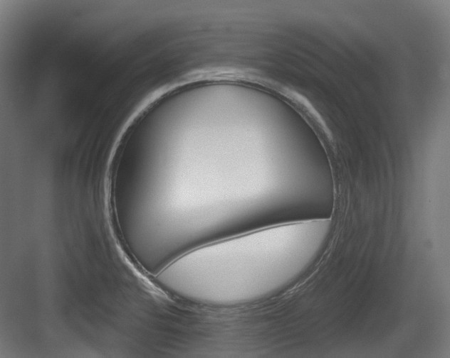 X0000083651424200702120824