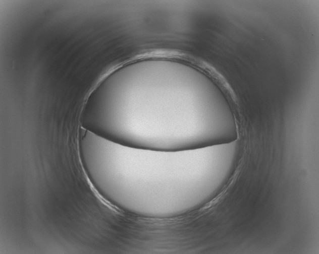 X0000083651425200702120824