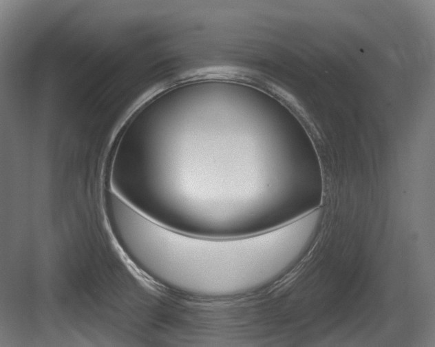 X0000083651426200702120824