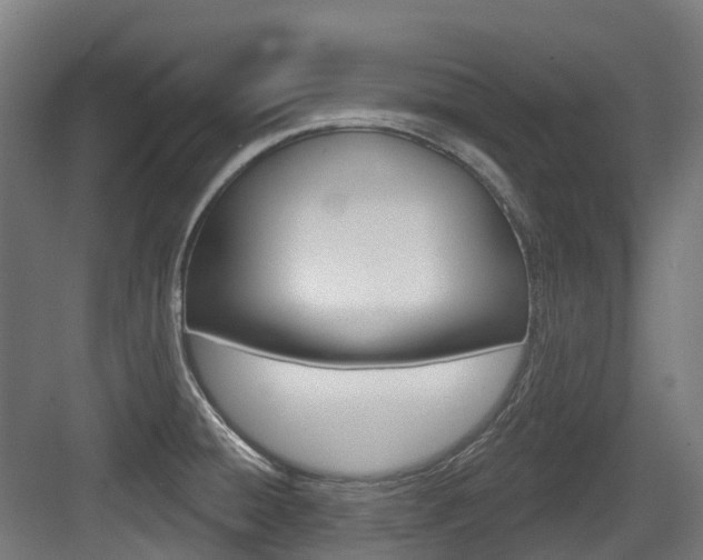 X0000083651428200702120825