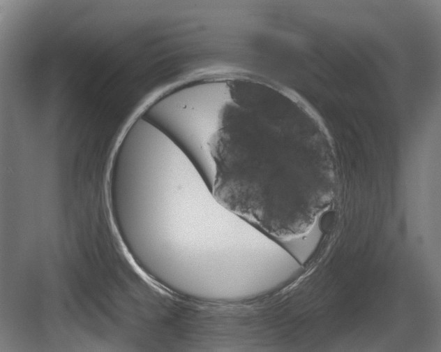 X0000083651429200702120825