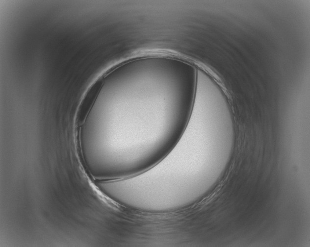 X0000083651430200702120825