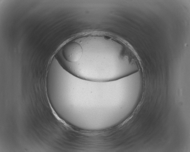 X0000083651433200702120825