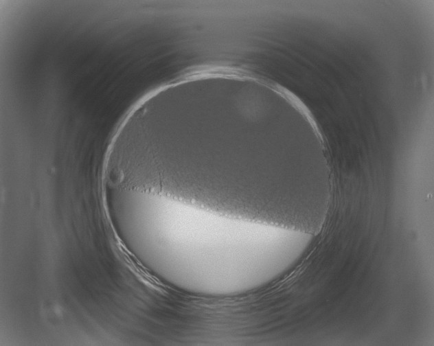 X0000083651435200702120825