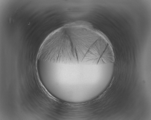 X0000083651436200702120825