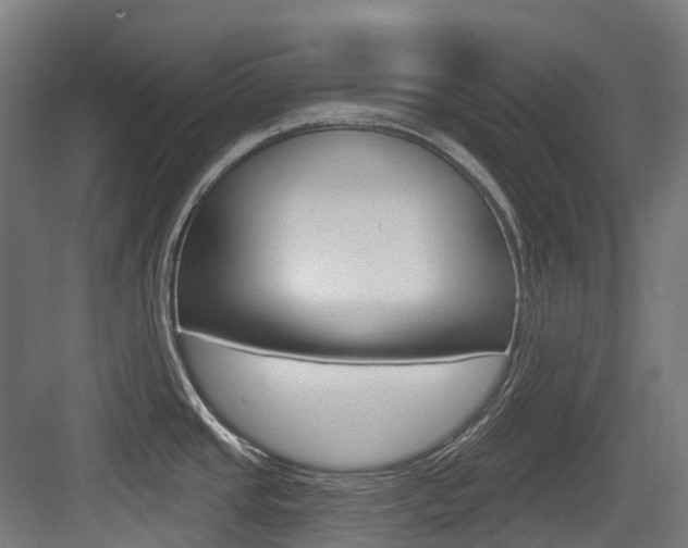 X0000083651437200702120825