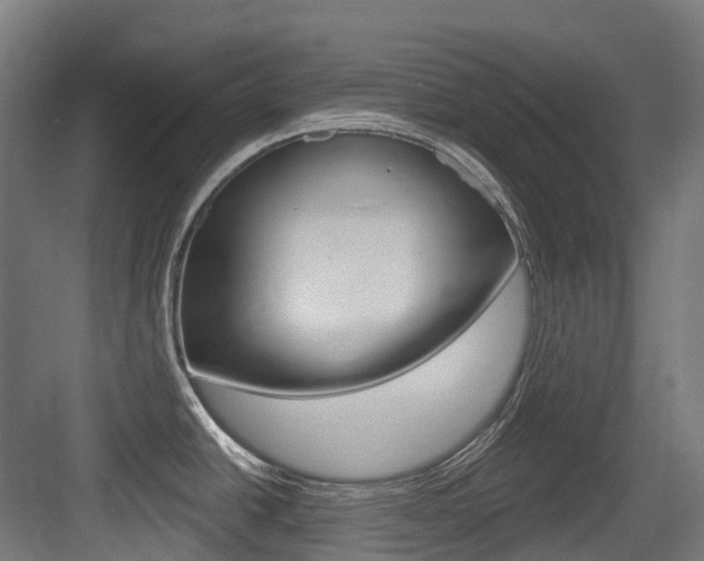 X0000083651438200702120825