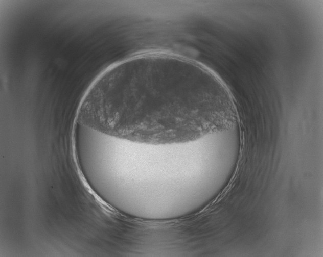 X0000083651440200702120825