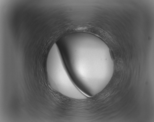 X0000083651441200702120824