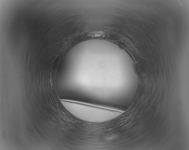 X0000083651442200702120824