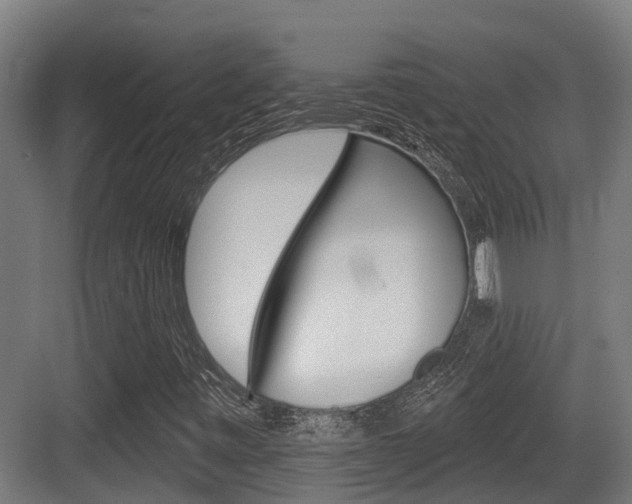 X0000083651443200702120824