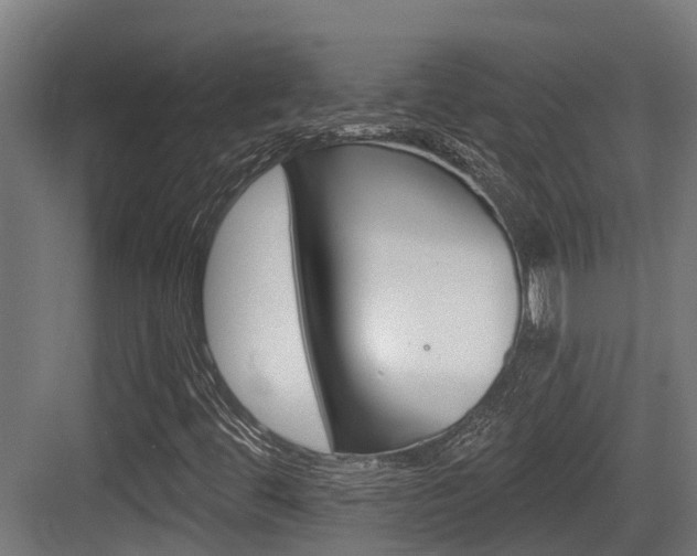 X0000083651444200702120824