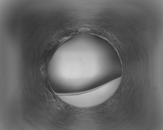 X0000083651445200702120824