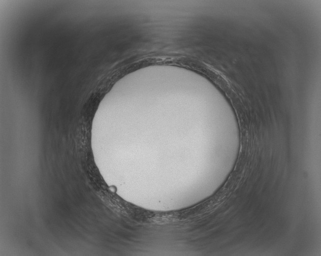 X0000083651447200702120824