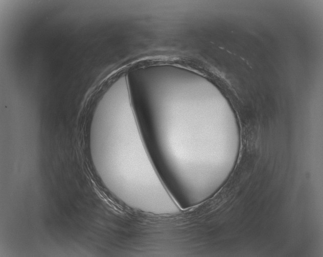 X0000083651448200702120824