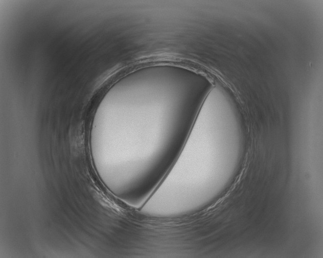 X0000083651450200702120824