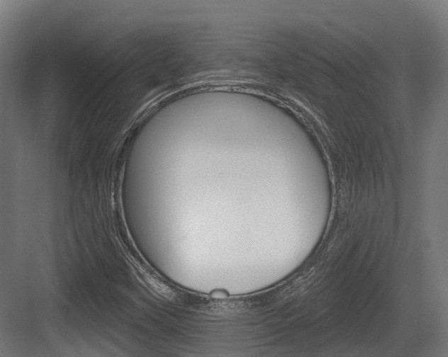 X0000083651451200702120824