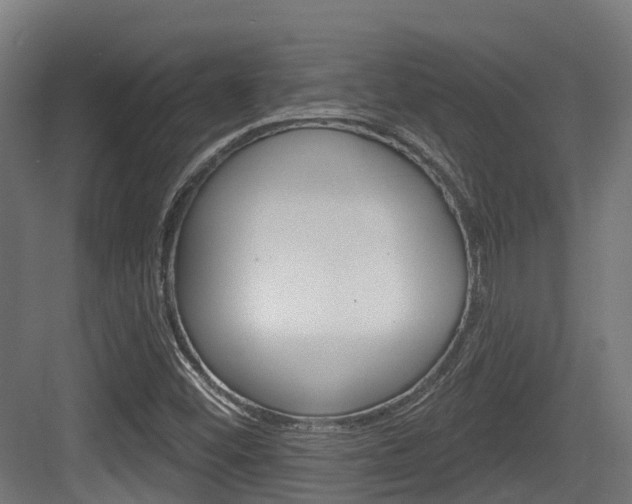 X0000083651452200702120824