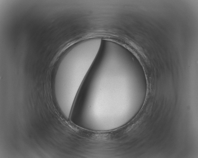 X0000083651453200702120824