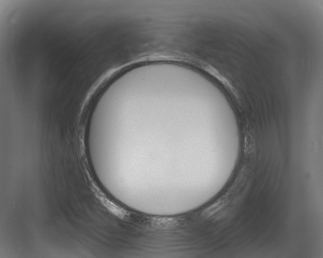X0000083651454200702120824