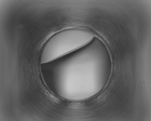 X0000083651455200702120824
