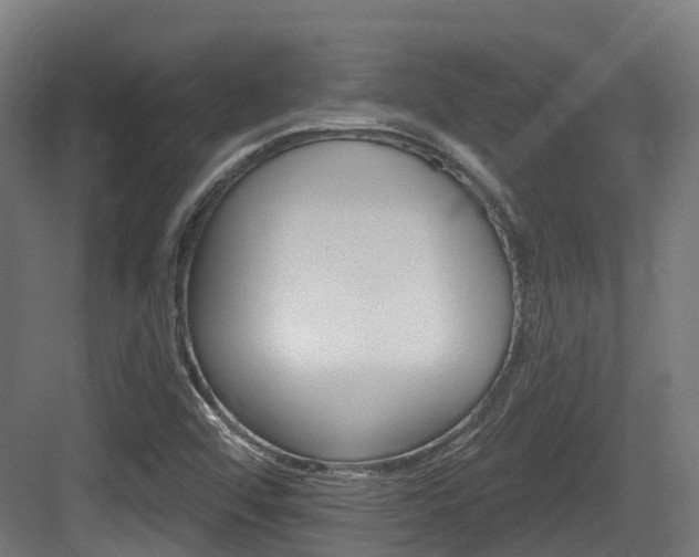 X0000083651456200702120824
