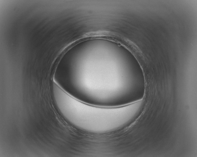 X0000083651457200702120824