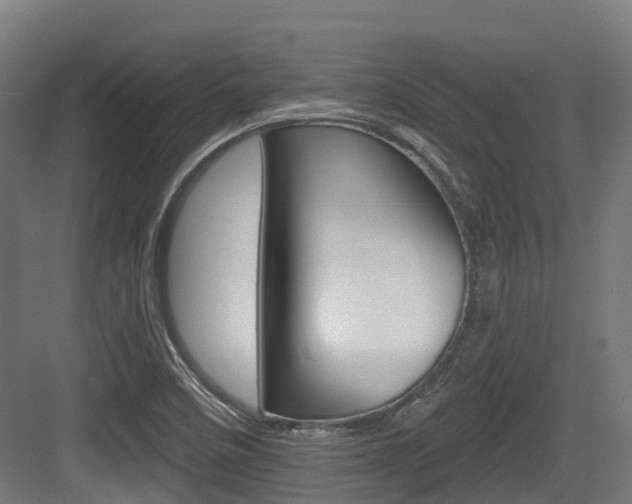 X0000083651458200702120824