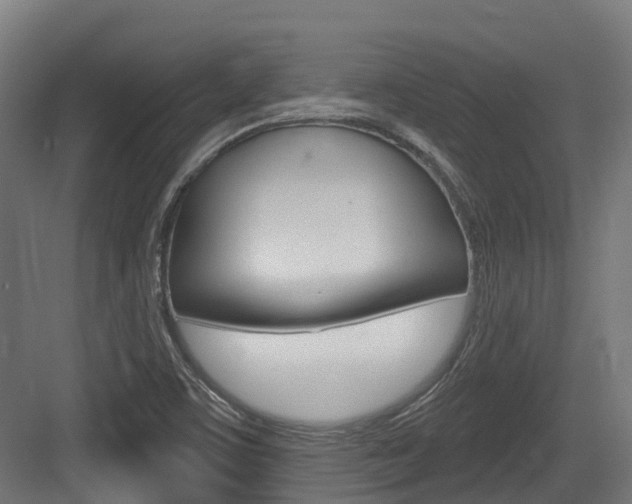 X0000083651459200702120824