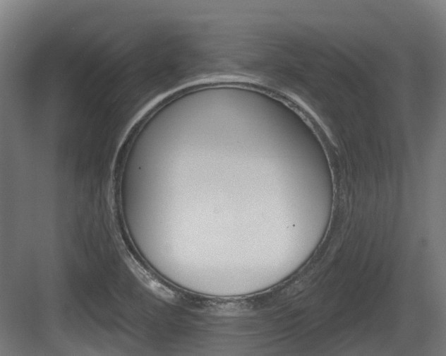 X0000083651460200702120824