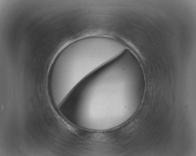 X0000083651463200702120824