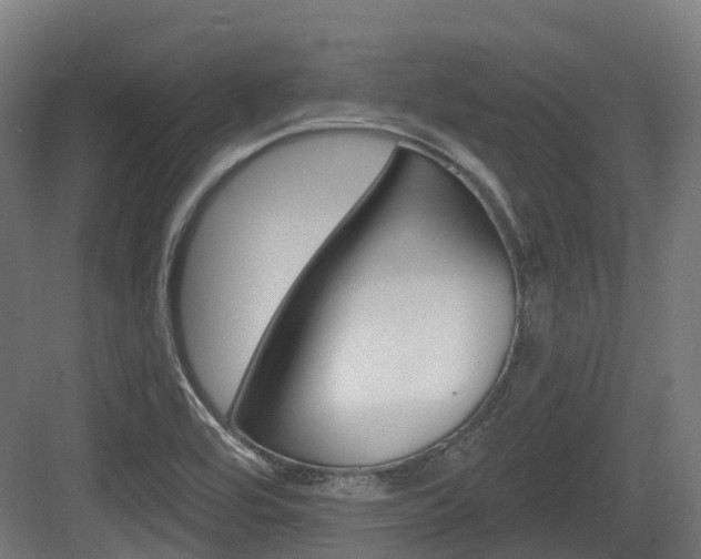 X0000083651464200702120824