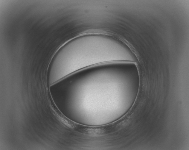 X0000083651465200702120824