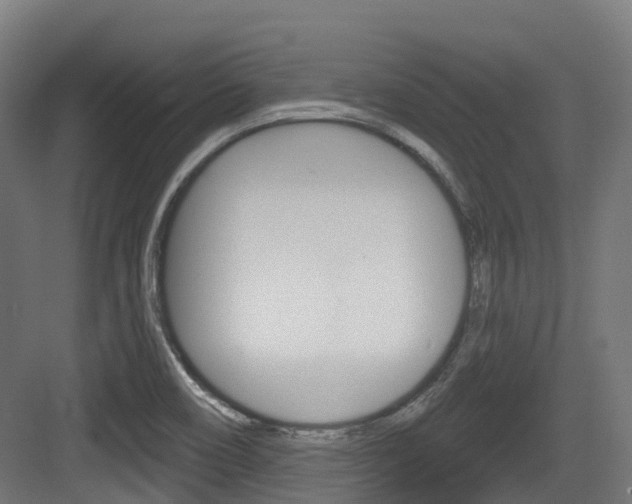 X0000083651466200702120824