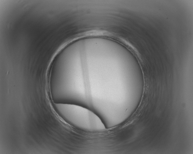 X0000083651467200702120823