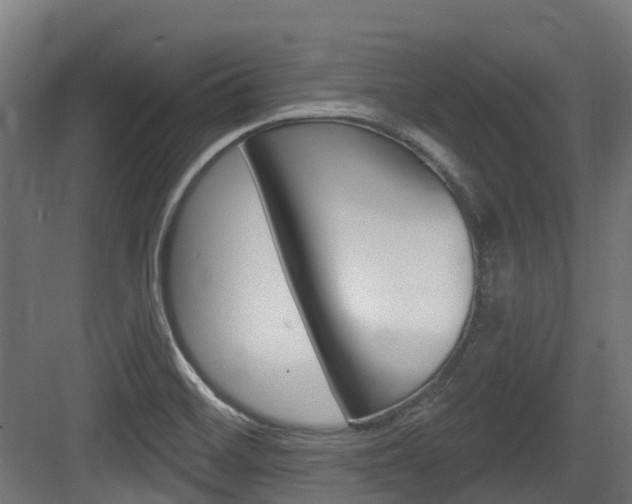X0000083651468200702120823