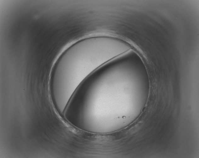 X0000083651469200702120823
