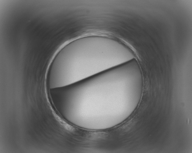 X0000083651471200702120823