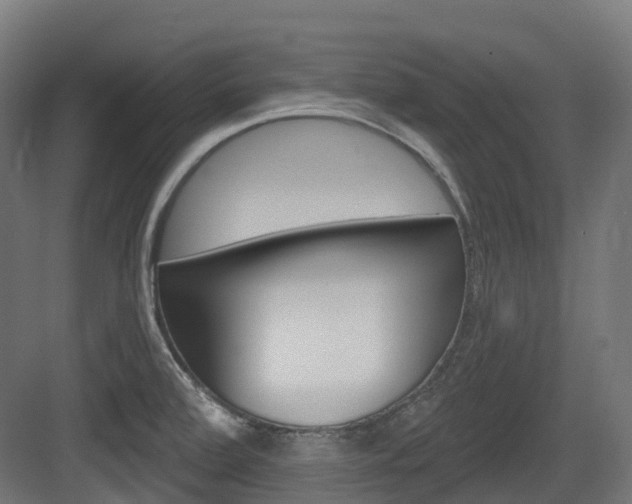 X0000083651472200702120823
