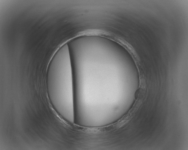 X0000083651473200702120823
