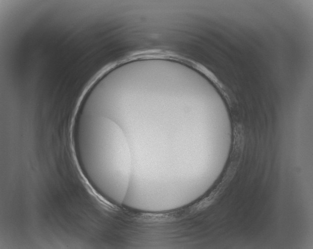 X0000083651474200702120823