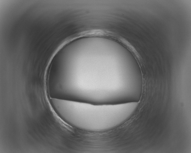 X0000083651475200702120823