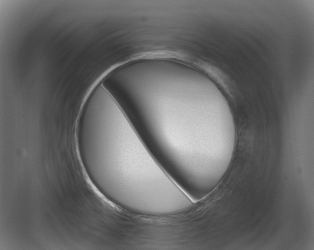 X0000083651476200702120823