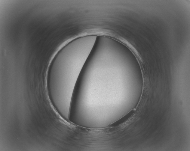 X0000083651477200702120823