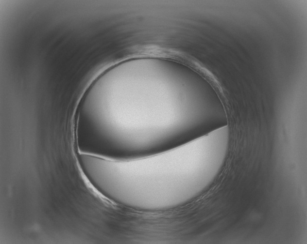 X0000083651479200702120823