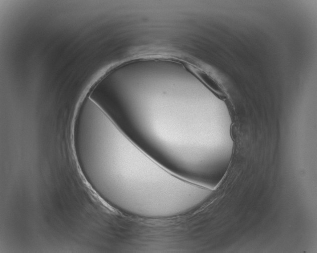 X0000083651480200702120823