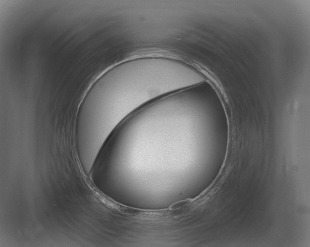 X0000083651481200702120823