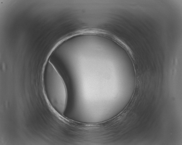 X0000083651483200702120823